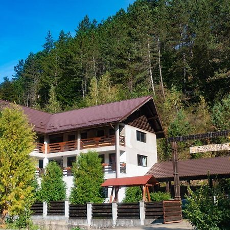 Pensiunea La Rachitele Exterior foto