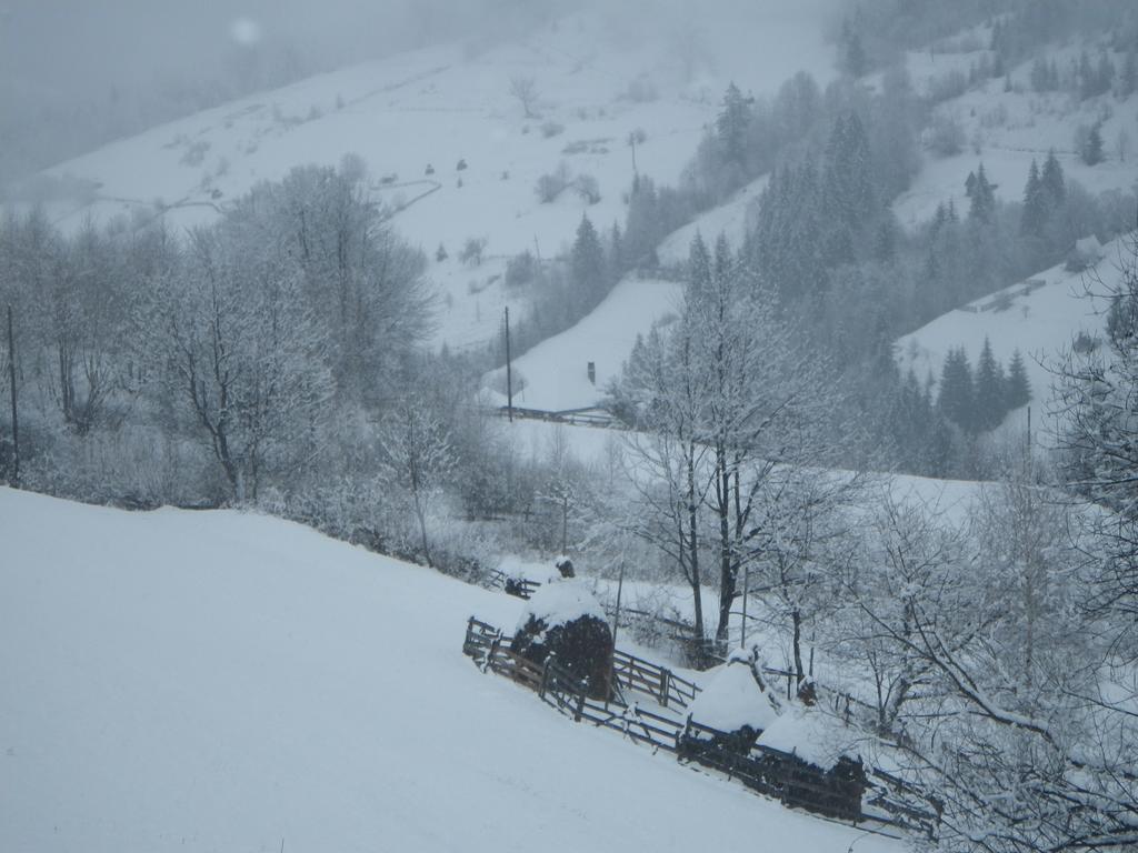Pensiunea La Rachitele Exterior foto