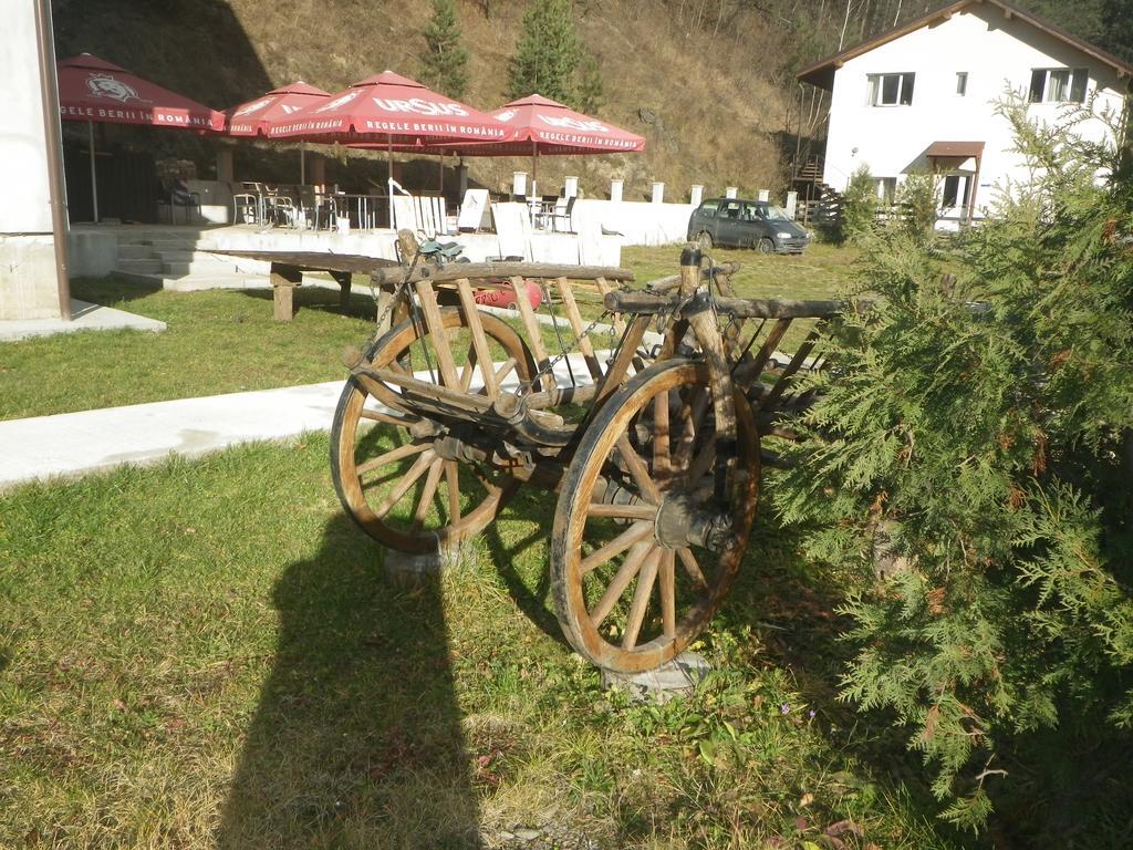 Pensiunea La Rachitele Exterior foto